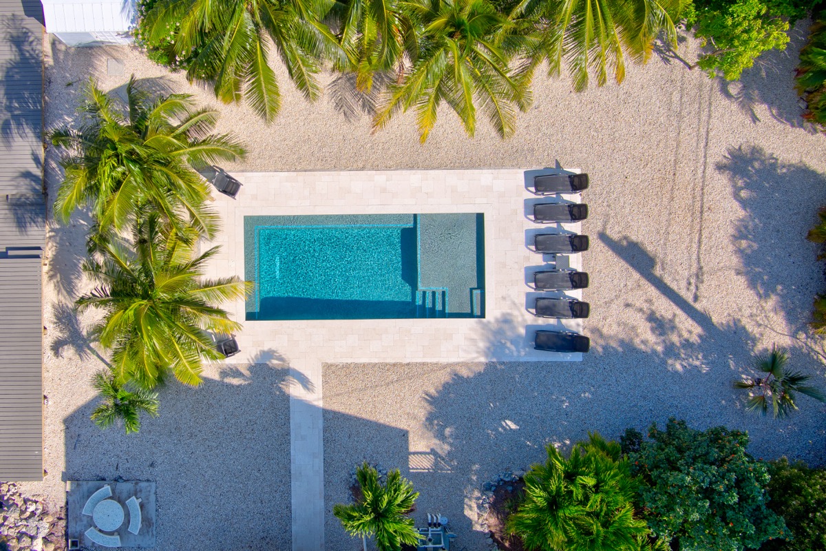 Custom heated pool with sun shelf surrounded by palm trees