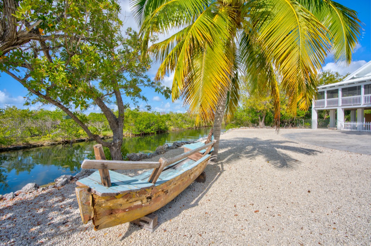 Canal waterfront with palm trees and decorative boat